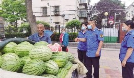 甘肃康县网红吃瓜,瓜香四溢引网友热议